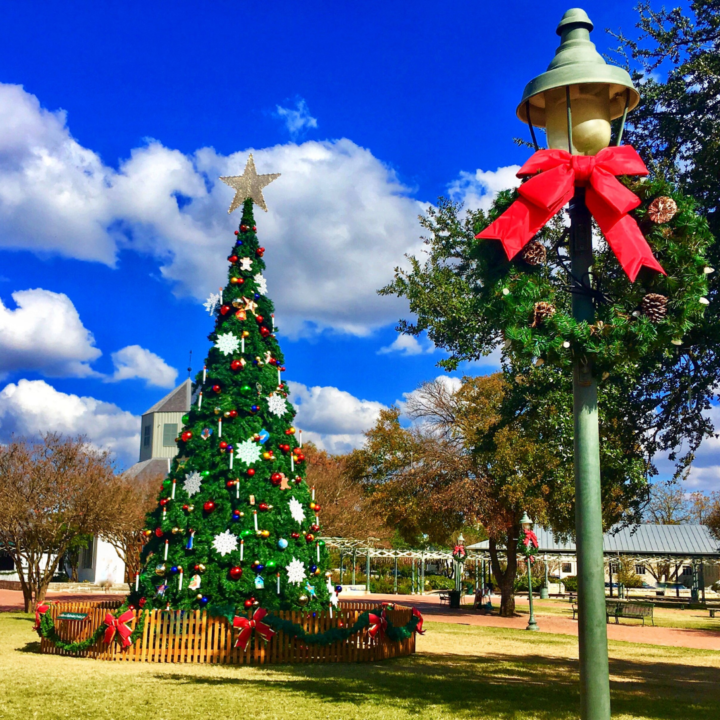 2020 Best Hill Country Holiday Lights The Texas Wildflower