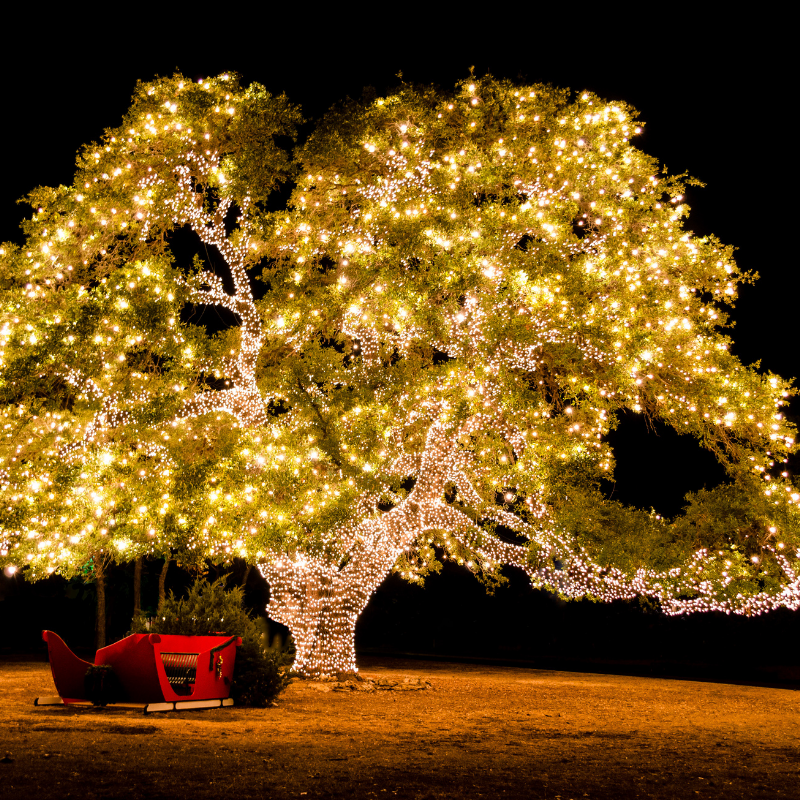 Best Texas Hill Country Holiday Lights 2021 The Texas Wildflower